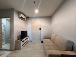 1 Bedroom Condo for rent at Life Pinklao, Bang Yi Khan, Bang Phlat