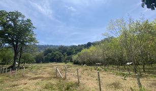 N/A Land for sale in Pa Khlok, Phuket 