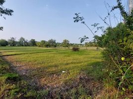  Land for sale in Ubon Ratchathani, Rai Noi, Mueang Ubon Ratchathani, Ubon Ratchathani