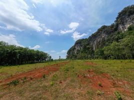  Land for sale in Krabi, Khao Khram, Mueang Krabi, Krabi