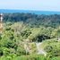  Land for sale in Choeng Thale, Thalang, Choeng Thale