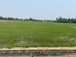  Land for sale in Tha Muang, Kanchanaburi, Ban Mai, Tha Muang