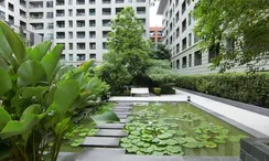 Photo 3 of the Communal Garden Area at The Seed Memories Siam