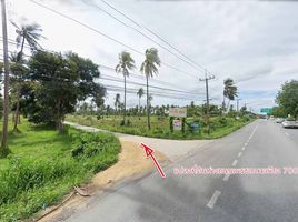  Grundstück zu verkaufen in Mueang Prachuap Khiri Khan, Prachuap Khiri Khan, Huai Sai, Mueang Prachuap Khiri Khan