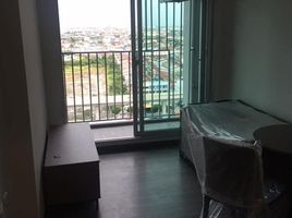 1 Bedroom Apartment for rent at The Trust Condo at BTS Erawan, Pak Nam