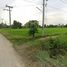  Grundstück zu verkaufen in Banphot Phisai, Nakhon Sawan, Nong Krot
