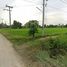  Land for sale in Nakhon Sawan, Nong Krot, Banphot Phisai, Nakhon Sawan