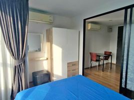 Studio Wohnung zu vermieten im Centrio, Wichit, Phuket Town