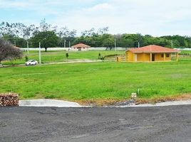  Grundstück zu verkaufen in Chame, Panama Oeste, Nueva Gorgona