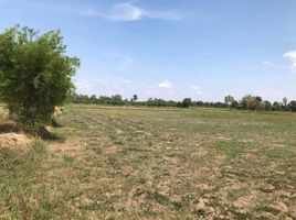  Land for sale in Huai Pho, Mueang Kalasin, Huai Pho