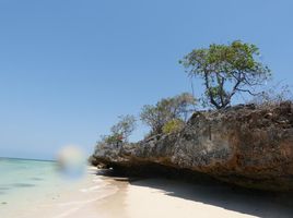  Grundstück zu verkaufen in Sumba Timur, East Nusa Tenggara, Rindi Umalulu