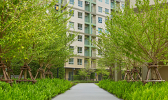 Photo 3 of the Communal Garden Area at Lumpini Ville Phra Nang Klao - Riverview