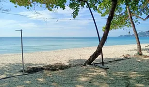 N/A Grundstück zu verkaufen in Bo Phut, Koh Samui 