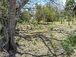  Land for sale in Pocri, Los Santos, Lajamina, Pocri