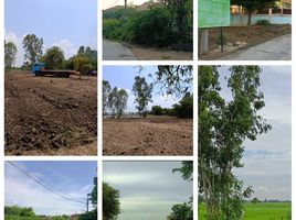  Land for sale in Ban Mi, Lop Buri, Nong Mueang, Ban Mi