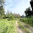  Land for sale in Mueang Chon Buri, Chon Buri, Nong Ri, Mueang Chon Buri