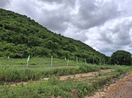  Grundstück zu verkaufen in Pran Buri, Prachuap Khiri Khan, Pak Nam Pran, Pran Buri