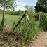  Land for sale in Hua Hin Prachuap Khiri Khan, Thap Tai