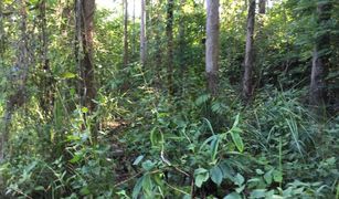 N/A Land for sale in Puea, Nan 