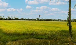 N/A Land for sale in Pho Ngam, Chai Nat 