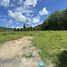  Land for sale in Thep Krasattri, Phuket, Thep Krasattri, Thalang