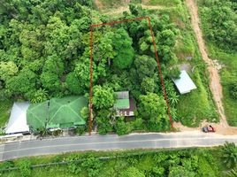 ขายที่ดิน ใน ถลาง ภูเก็ต, เทพกระษัตรี, ถลาง, ภูเก็ต, ไทย