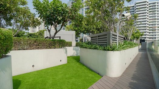 图片 1 of the Communal Garden Area at Ashton Residence 41