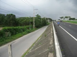  Grundstück zu verkaufen in Ban Chang, Rayong, Samnak Thon