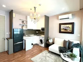 1 Bedroom Condo for rent at The Coast Bangkok, Bang Na, Bang Na, Bangkok, Thailand