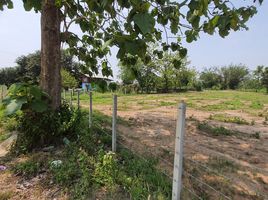  Land for sale in Chiang Rai, Nang Lae, Mueang Chiang Rai, Chiang Rai