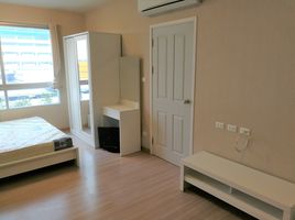 Studio Appartement zu vermieten im Plum Condo Nawamin, Nuan Chan, Bueng Kum