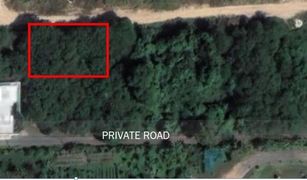 Rawai, ဖူးခက် Land Plot Tala in Rawai တွင် N/A မြေ ရောင်းရန်အတွက်