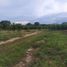  Land for sale in Brazil, Alvaraes, Amazonas, Brazil