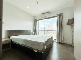 1 Schlafzimmer Wohnung zu verkaufen im B Campus, Bang Khen, Mueang Nonthaburi, Nonthaburi