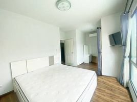 3 Schlafzimmer Reihenhaus zu verkaufen im The Ozone Petchkasem 53, Lak Song