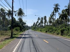  Land for sale in Natai Beach, Khok Kloi, Khok Kloi