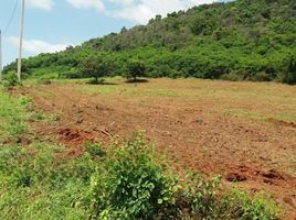  Grundstück zu verkaufen in Pran Buri, Prachuap Khiri Khan, Pak Nam Pran