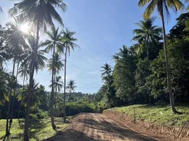  Land for sale in Maenam, Surat Thani, Maenam