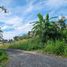  Land for sale in Phuket, Mai Khao, Thalang, Phuket