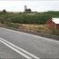  Grundstück zu verkaufen in Chiloe, Los Lagos, Ancud