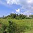  Land for sale in Choeng Thale, Thalang, Choeng Thale