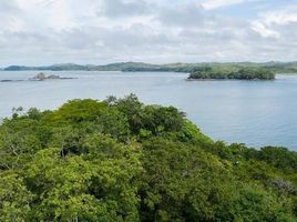  Land for sale in San Lorenzo, Chiriqui, Boca Chica, San Lorenzo