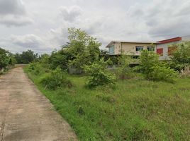  Land for sale in Udon Thani International Airport, Na Di, Nong Bua