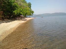  Land for sale in Puyu, Mueang Satun, Puyu