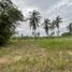  Land for sale in Pong, Pattaya, Pong