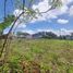  Land for sale in Atenas Alajuela, Atenas, Alajuela