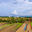  Land for sale in Nakhon Ratchasima, Nai Mueang, Phimai, Nakhon Ratchasima