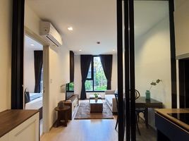 1 Bedroom Apartment for rent at THE BASE Central Phuket, Wichit