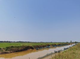  Grundstück zu verkaufen in Tha Bo, Nong Khai, Tha Bo, Tha Bo