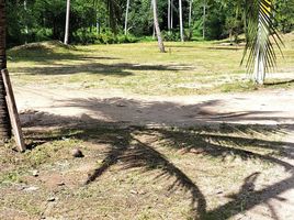  Grundstück zu verkaufen in Koh Samui, Surat Thani, Maret